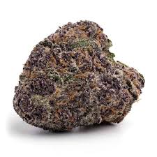 Granddaddy Purple Strain - Premium GDP Indica Strain Granddaddy Purple strain dense purple buds Exotic Packz Menu