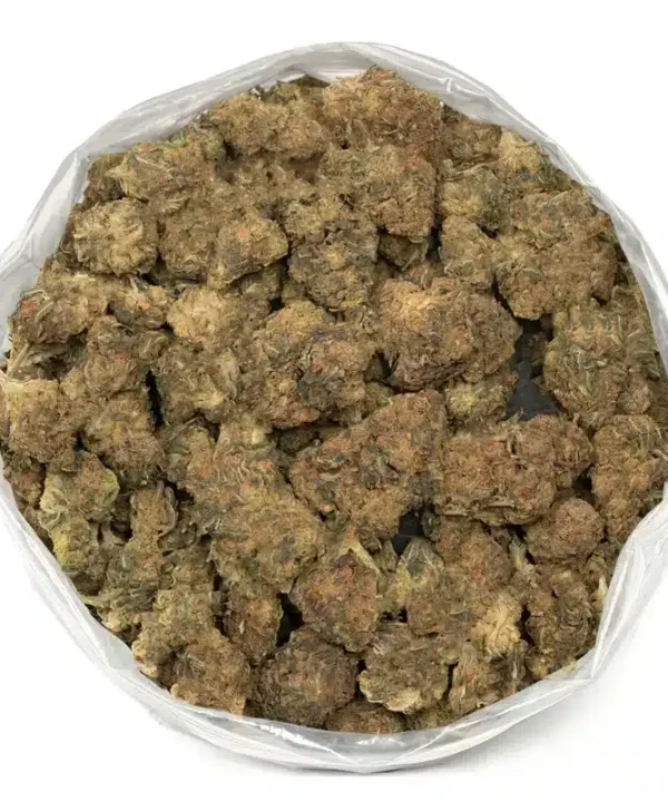 Mango Haze Strain – Premium Tropical Cannabis Flower with Sweet Aroma