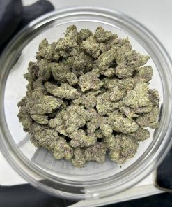 Designer Runtz Strain UK – Premium Hybrid | Exotic Packz